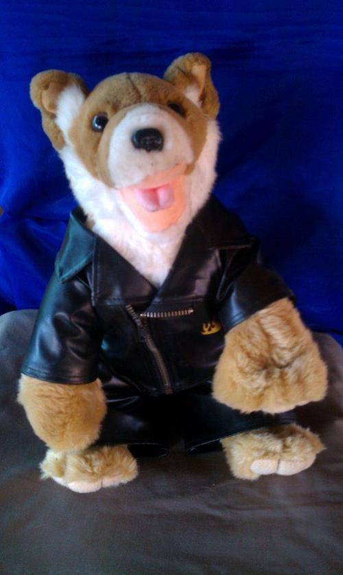 A cool Wolf in biker Leathers  +/- 34cm