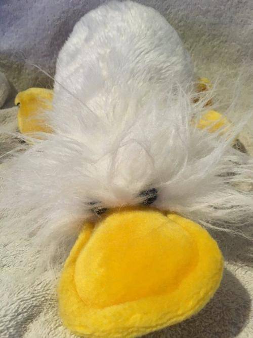 Scarce Telly Fun Quiz - Quack circa 1980's