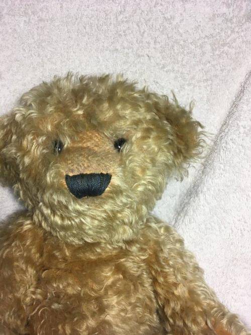 Vintage Mohair Jointed Teddy Circa 1960's / 70's +-55cm