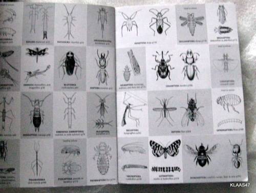 Comprehensive Field Guide   TO   African insects with full-colour photo  OVER 1200 species pp