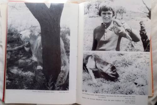 Tommy Goes Home - Peter Stiff - Hardcover 1977