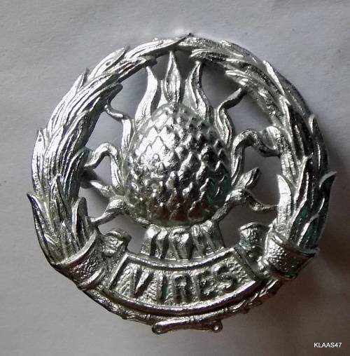 Regiment Boland - white metal cap badge (Worn post 1964)