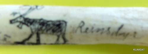 Vintage 1963 Norwegian Scrimshaw Bone Letter Opener Reindeer Nordkapp : Minne fra Samelus:Honnigsvag