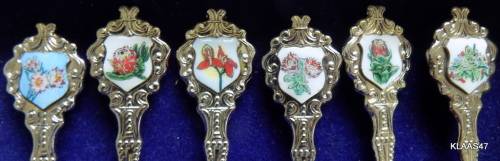 Set of 6 South African Flora Tea spoons