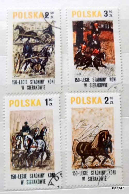 Poland - 1980 - Sierakov horse stud farm,150th anniv. - 4 Cancelled hinged stamps