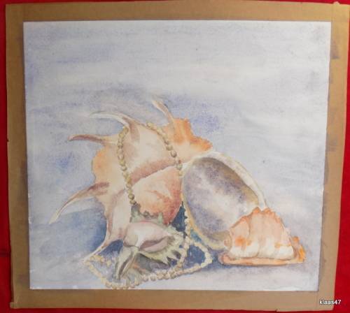 Unframed Unsigned Watercolour of a Shell