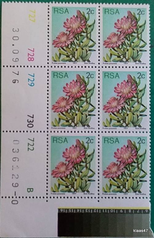 RSA - 1977 - Protea Definitive - Block of 6 Unused 2c stamps