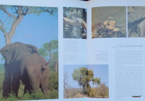 Spirit of the Bush - Malcolm and Paul Funston (Text: Peter Borchert) - Hardcover