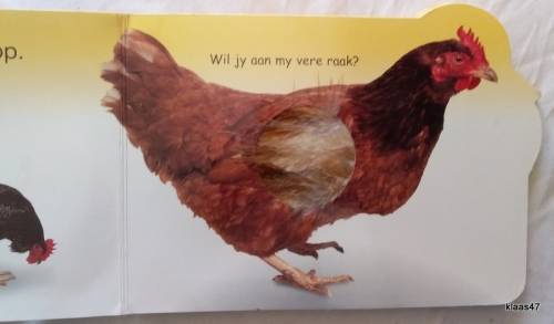 Eendjie en sy Maats - Vat, Voel en Se - Cardboard page Baby Book