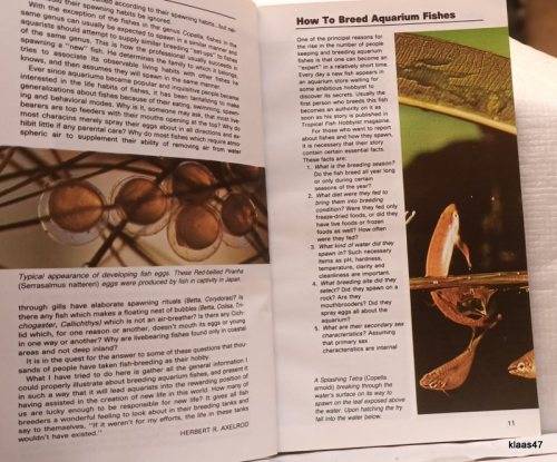 Breeding Aquarium Fish - Dr Herbert R Axelrod - Paperback