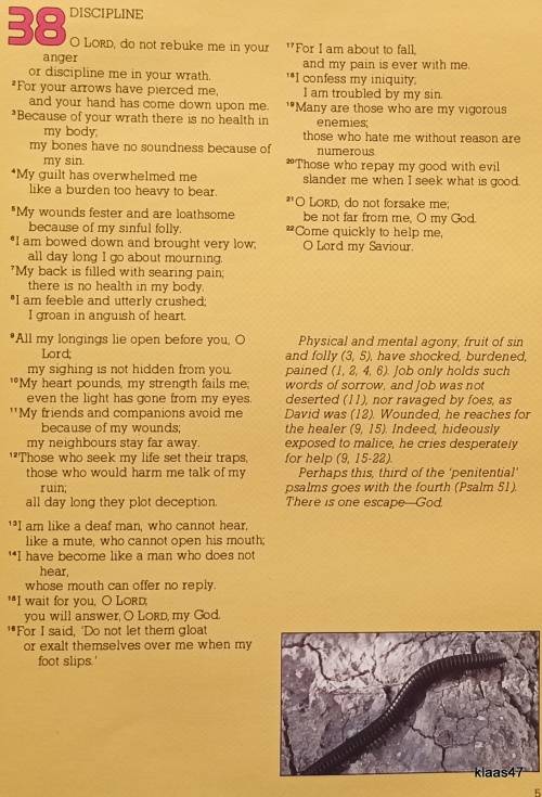 Meditations on The Psalms (Scripture Union) Psalms 38-75 (taken from the New International Version)