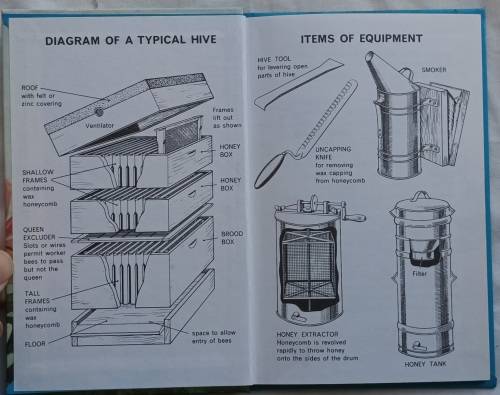 Life of the Honey-bee - A Ladybird Natural History Book - Hardcover