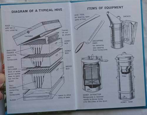 Life of the Honey-bee - A Ladybird Natural History Book - Hardcover
