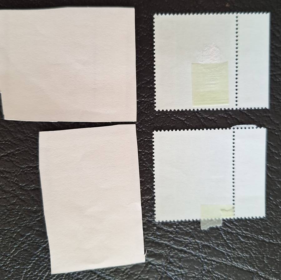 New Zealand 1989 Scenic Issue Trees Set of 4 Unused stamps on Paper