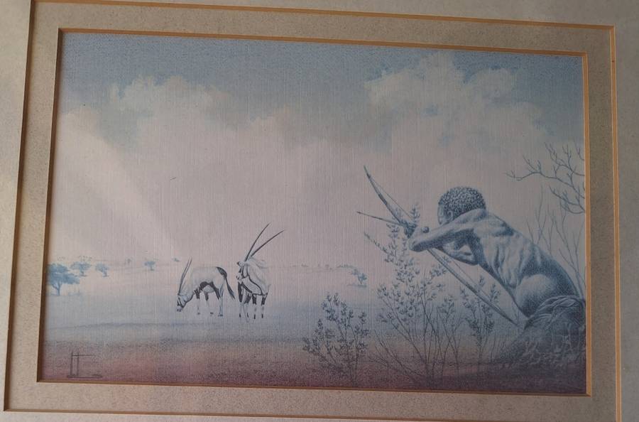 FRAMED PRINT `CAPE DESERY LANDS` BY MIKE ELLIOTT