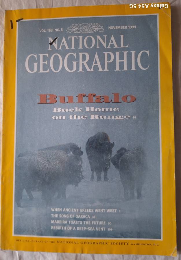 National Geographic November 1994 Buffalo: Back Home on the Range