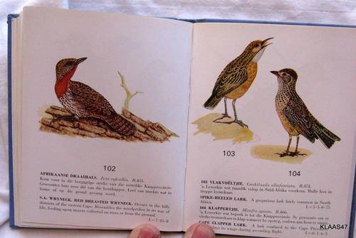 SOME PROTECTED BIRDS OF THE CAPE PROVINCE : 1967 : BI-LINGUAL