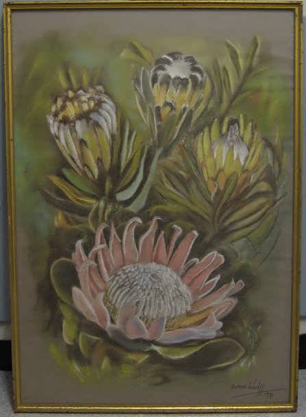 "PROTEAS"  :  BY DOREEN WOLFF : 1979 : FRAMED SIZE 72 x 51 cm (LOOKS LIKE PASTEL BEHIND GLASS)