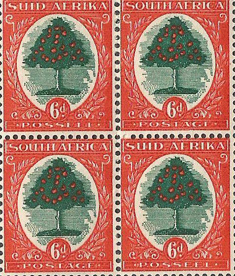 Union of South Africa SACC60a stronger background open scrolls -MNH CV R1300