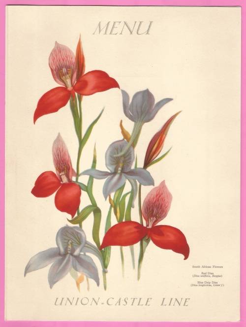 Vintage-Menu-6th June 1937-Union Castle Line-R.M.M.V. Carnarvon Castle