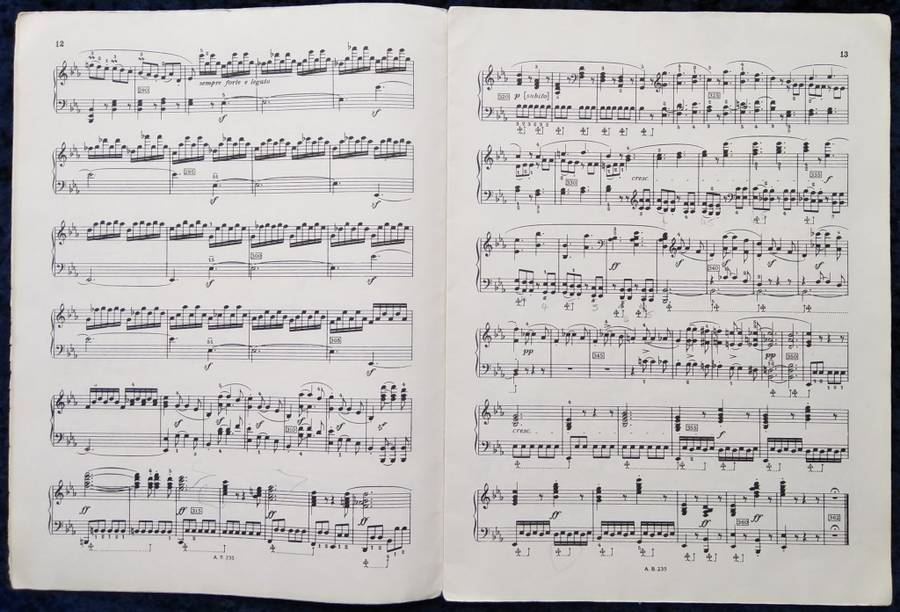 Book-Beethoven Sonatas for Pianoforte