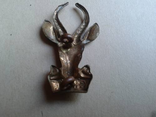 SAI badge