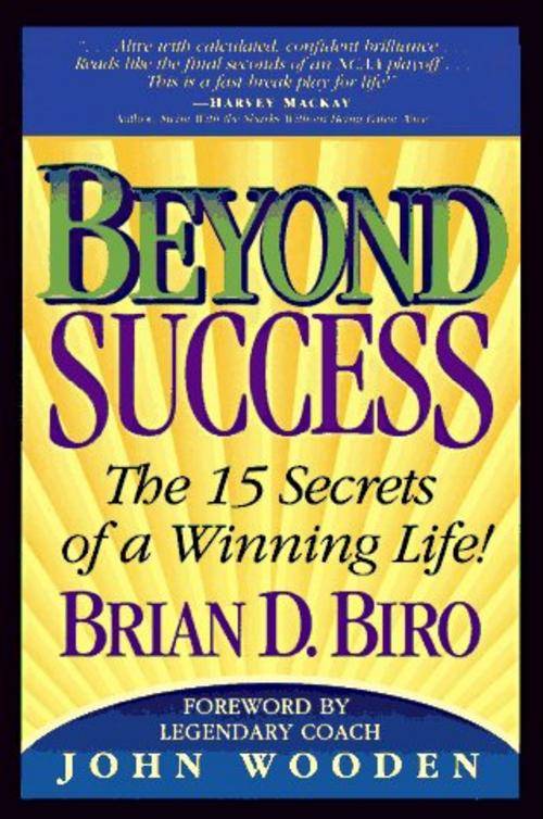 Beyond Success - Brian D. Biro