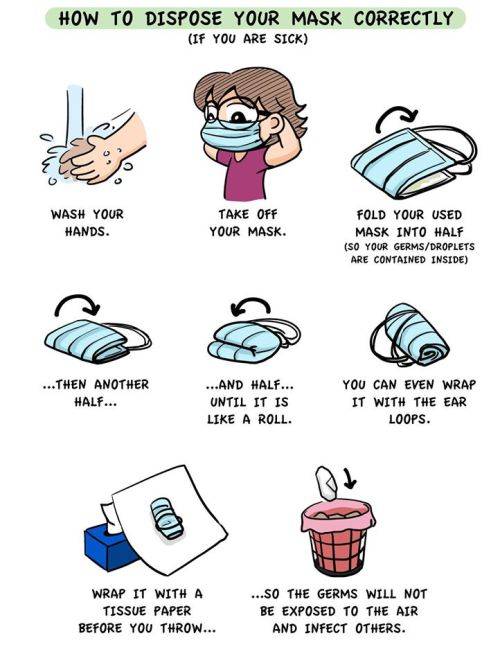Ever Safe 3 PLY SURGICAL FACE MASK