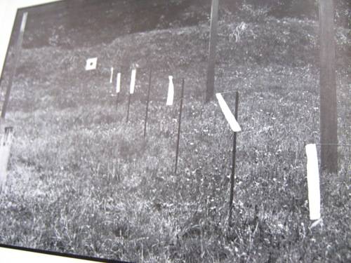 RIFLE SHOOTING AS A SPORT - PLENTY OF ILLUSTRATIONS!! 190+ PAGES - HARDCOVER.