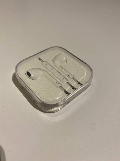 Apple Earphones