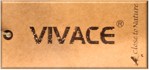Vivace New Fashion Canvas Leisure Bag