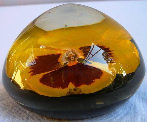 Clear Resin Paperweight with a Real Pansy Flower