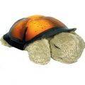 Gorgeous Twilight Turtle Night Light!!! Great for baby!