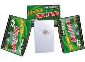 Cockroach Glue Traps - NO MORE NASTY BUGS!!