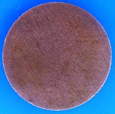 A VERY RARE ITEM: MINT ERROR 1c WITH BLANK OBVERSE