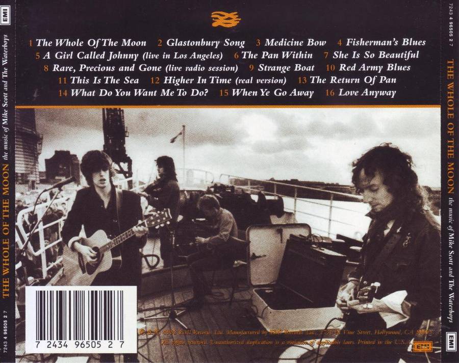 MIKE SCOTT AND THE WATERBOYS - The whole of the moon (CD) 7243 4 96505 2 7 NM