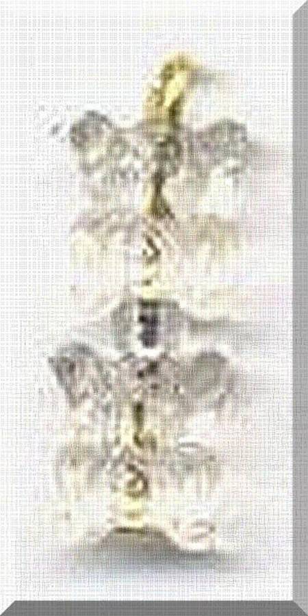 NOVELTY BEADS-FROG - CLEAR  7mm