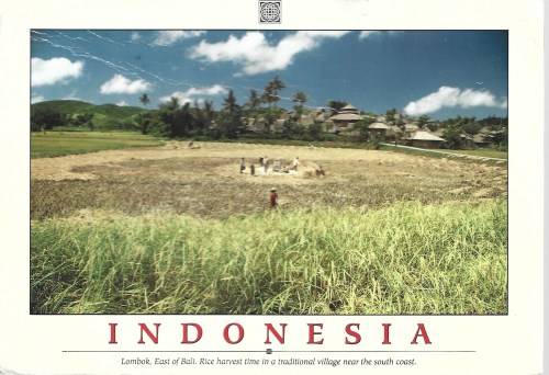 Indonesia Selection Thematic And Topical Collection Of Mnh and Used Part Set FDC0444