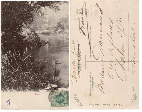 VINTAGE PICTURE POSTCARD PUBLISH BY P.S.&C Capetown. No 1172. - "ILLOVO"