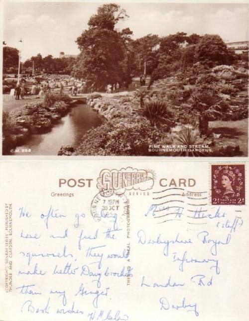 G.B. old Photographic POSTCARD Pine Walk & Stream Bournmouth Gardens 'Sunray Series'  #CM286