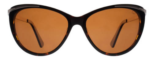 Slaughter & Fox Free Shipping | Art Gallery District | 3 Colours