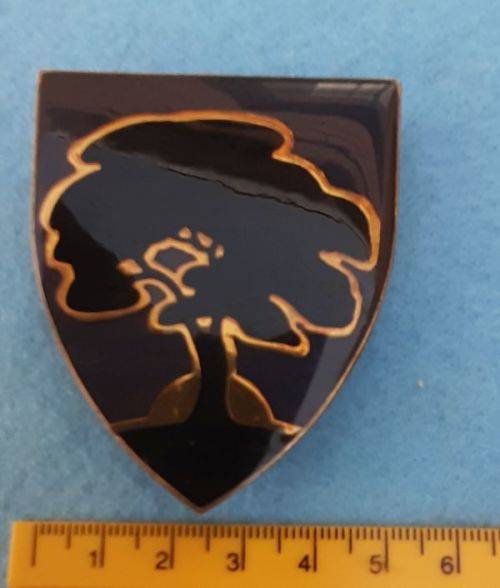 SCHWEIZER - RENEKE COMMANDO   SHOULDER FLASH - 2 Pins   Dinnes 4876