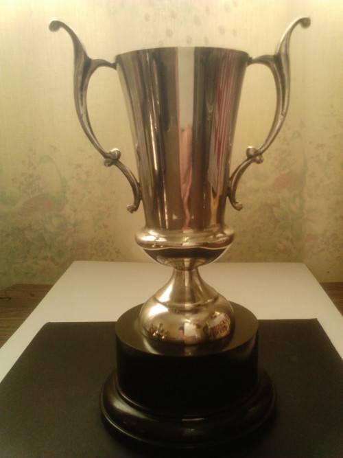 BEAUTIFUL UNUSED SILVER PLATED TROPHY, WITH GOOD VALUE, SEE BELOW.