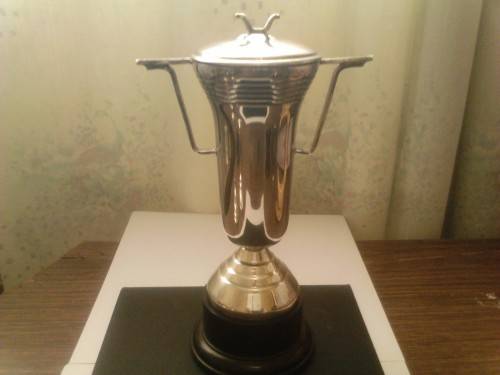 BEAUTIFUL UNUSED SILVER PLATED TROPHY, WITH GOOD VALUE, SEE BELOW.