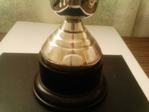 BEAUTIFUL UNUSED SILVER PLATED TROPHY, WITH GOOD VALUE, SEE BELOW.