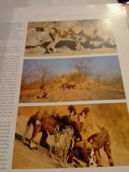 `THE KRUGER NATIONAL PARK, WONDERS OF AN AFRICAN EDEN` VERY GOOD ISSUE - PLEASE READ BELOW FOR INFO