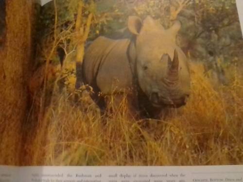 `THE KRUGER NATIONAL PARK, WONDERS OF AN AFRICAN EDEN` VERY GOOD ISSUE - PLEASE READ BELOW FOR INFO
