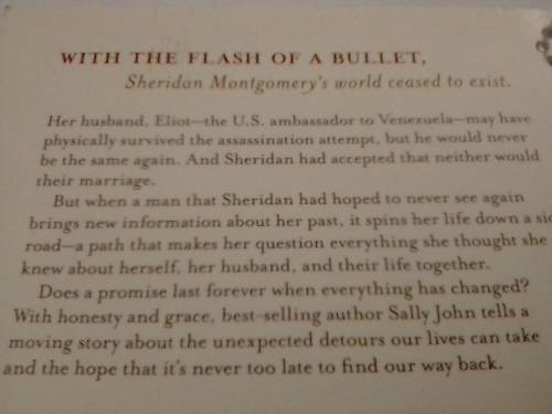 Ransomed Dreams, Novel by Sally John.