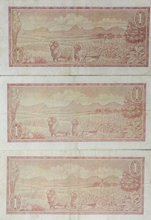 *Crazy R1 Start!!* T W de Jongh R1 Note Set