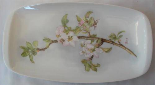 Rosenthal Oblong Platter